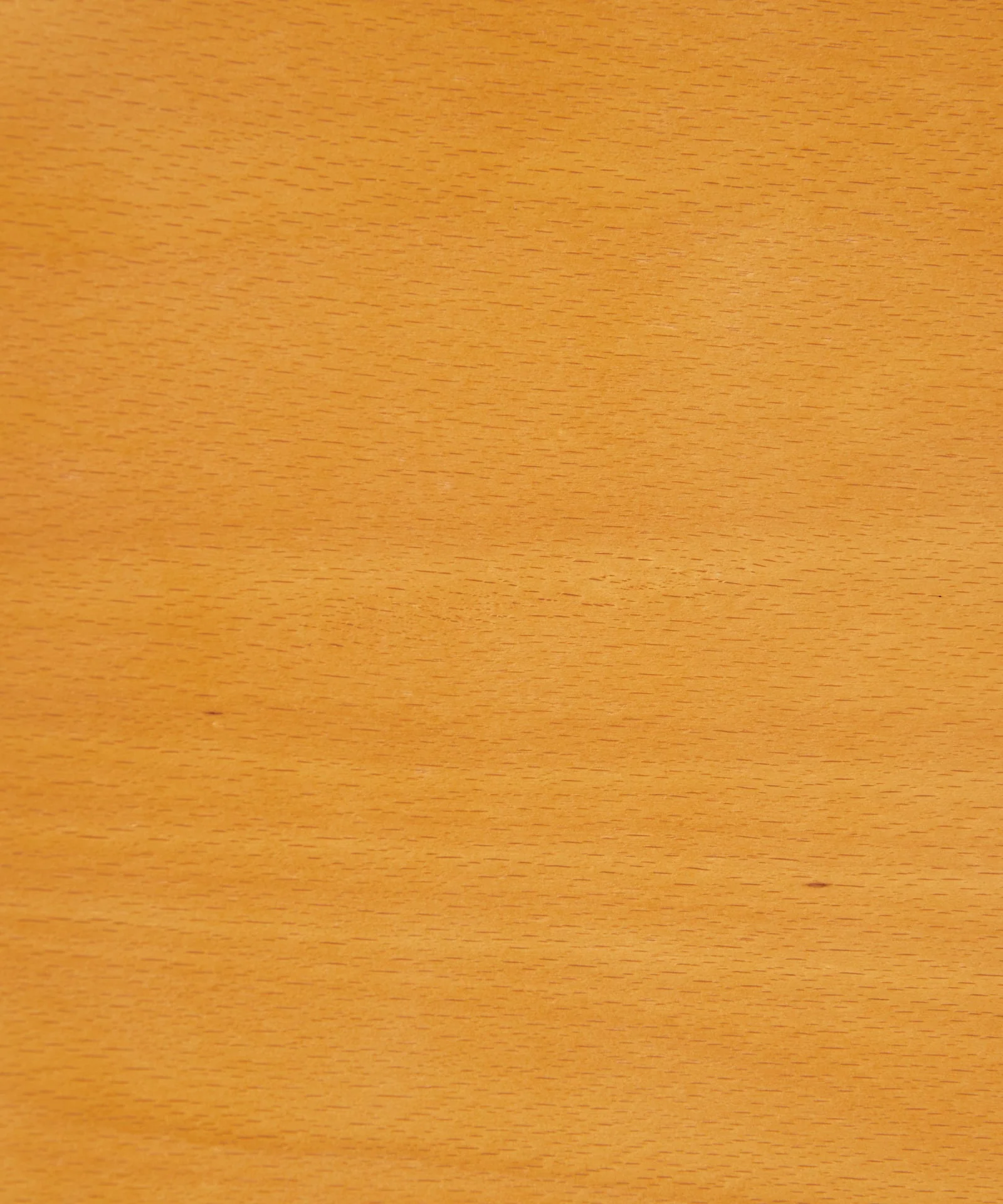 Silla de Comedor en Madera Alara - Image 16