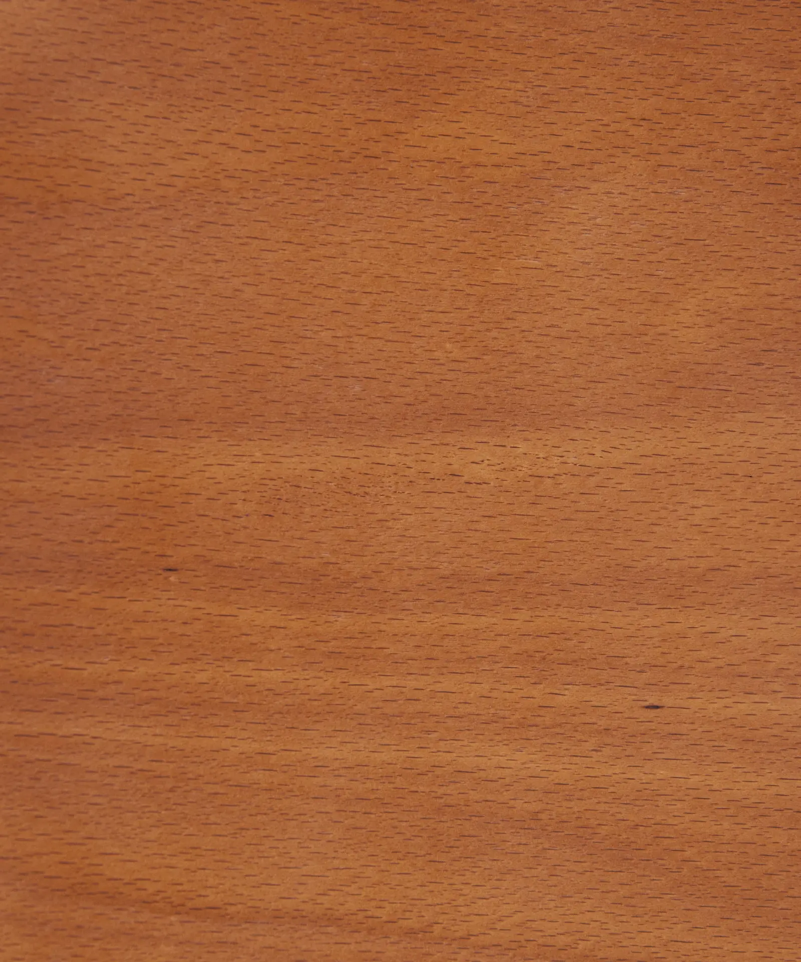 Silla de Comedor en Madera Alara - Image 5