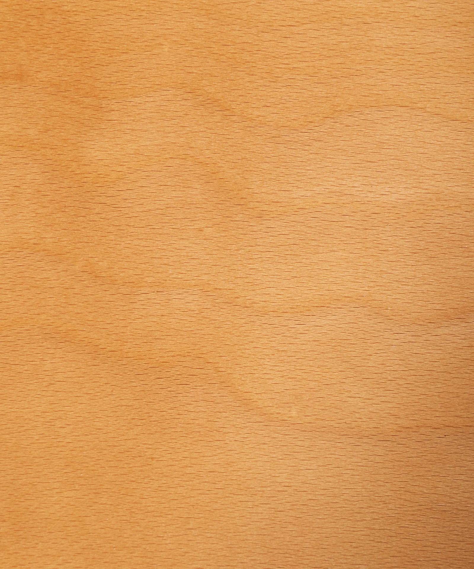 Silla de Comedor en Madera Zivia - Image 9